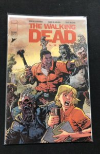 The Walking Dead Deluxe #29 Cover C (2021)