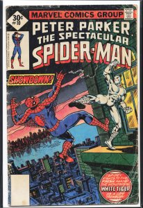 The Spectacular Spider-Man #10 (1977) Spider-Man