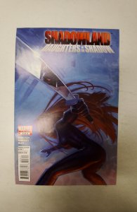 Shadowland: Daughters of the Shadow #3 (2011) NM Marvel Comic Book J714