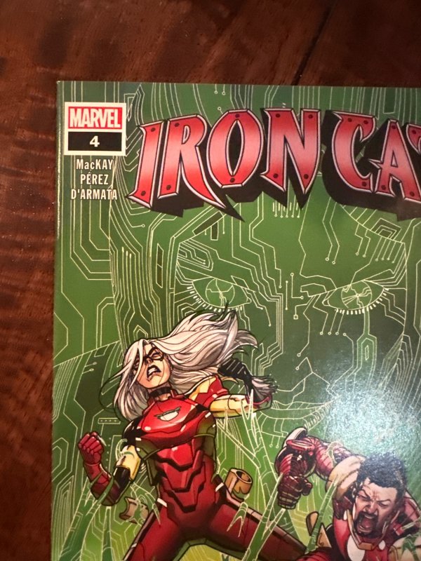 Iron Cat #4 (2022)