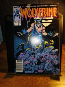 Wolverine #1 Wolverine [Key Issue]