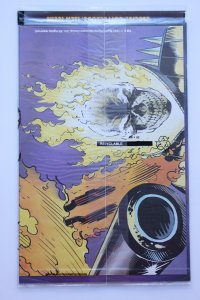 Ghost Rider #31 Direct Edition (1992) Ghost Rider [Key Issue] NM