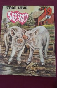 Sex to Sexty #19 (1968)