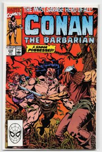 Conan the Barbarian #239 (1990) Conan