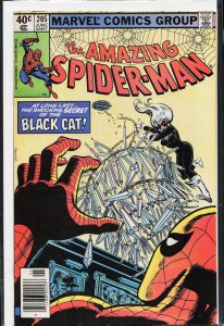 The Amazing Spider-Man #205 (1980) Spider-Man