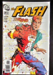 The Flash #230 (2006)  1:50 Low Print