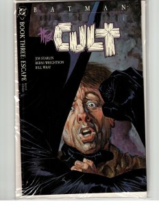 Batman: The Cult #3 (1988) Batman