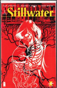 Stillwater #1 (2020)