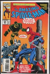 The Amazing Spider-Man #384 (1993) Spider-Man