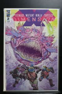 Teenage Mutant Ninja Turtles: Dimension X #2 Cover B (2017)