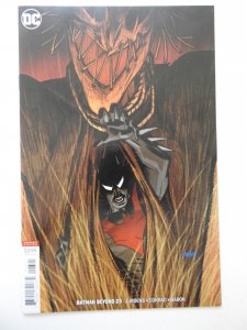 Batman Beyond #23 Variant Cover (2018)