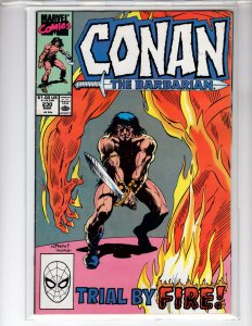 Conan the Barbarian #230 (1990)- [NSC•ECA8]