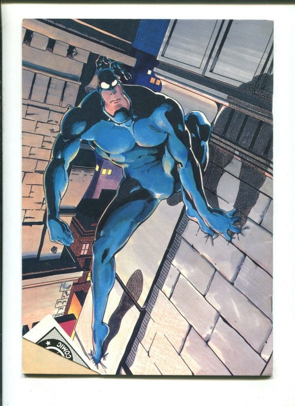 THE TICK #5 - NEW ENGLAND (FN/VF) 1989