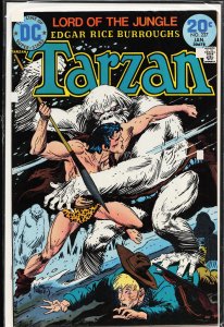 Edgar Rice Burroughs' Tarzan #227 (1974)