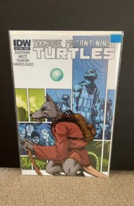 Teenage Mutant Ninja Turtles #5 Cover B (2011)