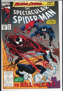 The Spectacular Spider-Man #201 (1993) Spider-Man