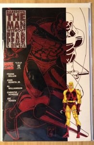 Daredevil: The Man Without Fear #5 (1994)