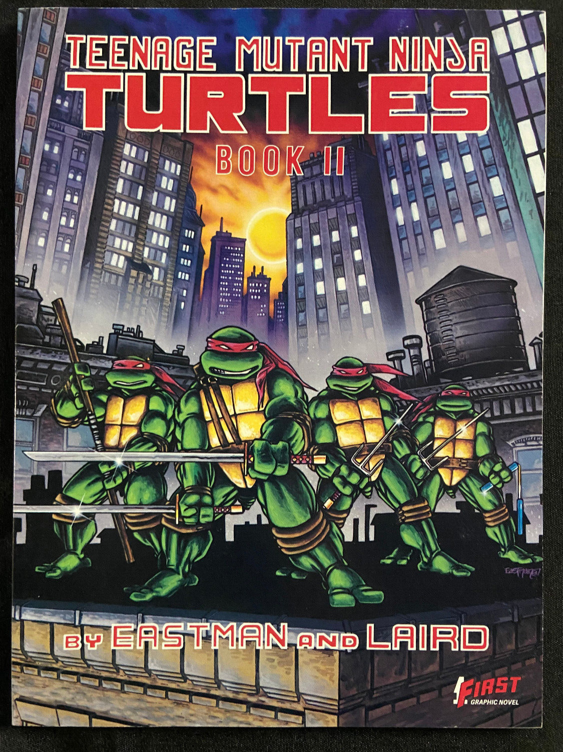 Teenage Mutant Ninja Turtles [Book]