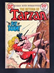 Edgar Rice Burroughs' Tarzan #223 (1973)