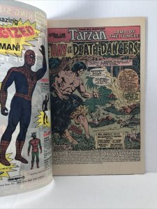 Tarzan Lord Of The Jungle Annual #2