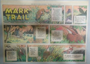 (52) Mark Trail Sunday Pages by Ed Dodd from 1977 Halves & Thirds Complete Year!