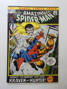 The Amazing Spider-Man #111 (1972) FN+ Condition!