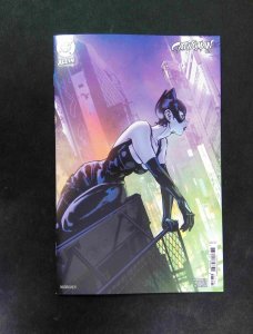 Catwoman #73E  DC Comics 2025 NM+  1:25Noobovich VARIANT