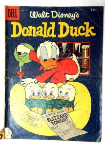 Donald Duck #44 (1955) Dell Comics 1st Print Comic Book
