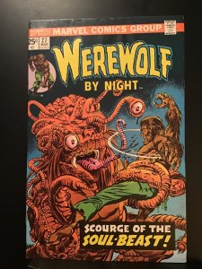 Werewolf by Night #27 (1975) 1st dr glitternight FN