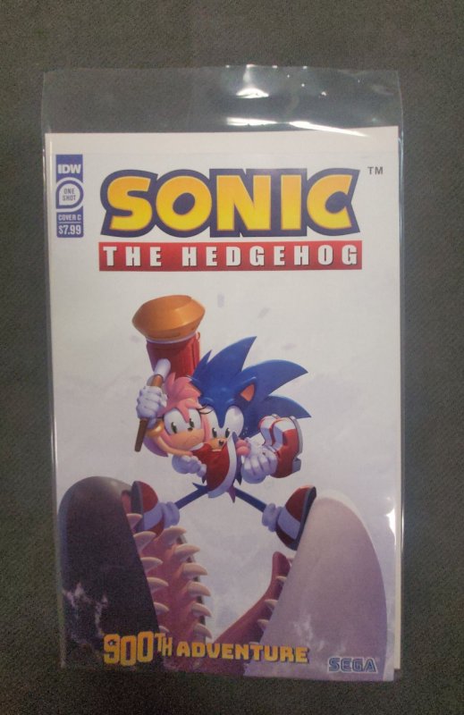 Sonic the Hedgehog Annual 2019 Cover B - Jennifer Hernandez (2019)