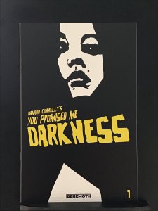 You Promised Me Darkness #1 Second Print Cover (2021)