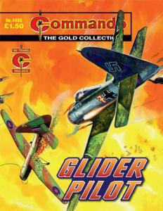 Glider Pilot