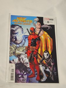 New Mutants: Lethal Legion #2 Variant Cover (2023)