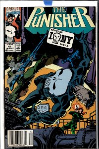 The Punisher #41 (1990) Punisher