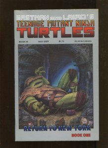 TEENAGE MUTANT NINJA TURTLES # 19 (7.0)  