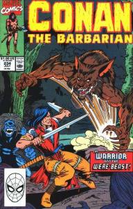 Conan the Barbarian (1970 series)  #234, NM (Stock photo)