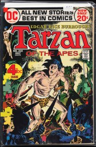 Edgar Rice Burroughs' Tarzan #210 (1972)