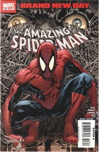 The Amazing Spider-Man #553 (2008)