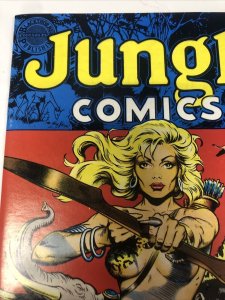 Jungle Comics (1988) # 1 (FN/VF) Variant Cover  • Dave Stevens • Bruce Jones