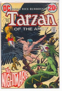 Edgar Rice Burroughs' Tarzan #214 (1972)
