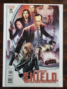 Agents of Shield 1 1:50 ratio variant