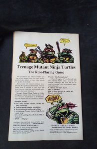 Teenage Mutant Ninja Turtles Adventures #2