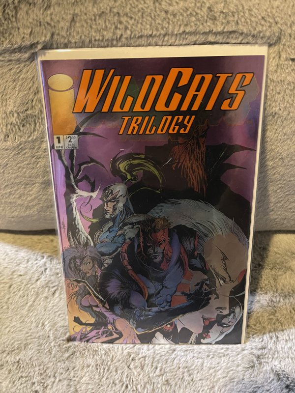 Wildcats Trilogy 1