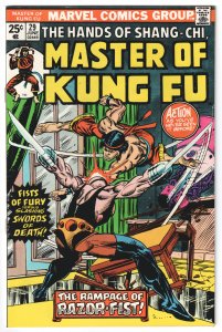 Master of Kung Fu #29 (1975) Master of Kung Fu [Key Issue]