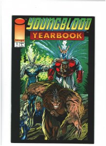 Youngblood Yearbook #1 VF+ 8.5 Image Comics 1993 Rob Liefeld