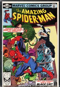 The Amazing Spider-Man #204 (1980) Spider-Man
