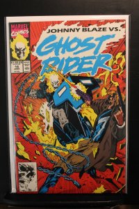 Ghost Rider #14 (1991)