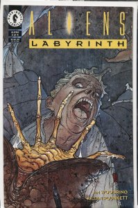 Aliens: Labyrinth #3 (1993) Alien / Aliens