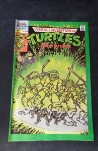 Teenage Mutant Ninja Turtles Adventures #3 (1989)