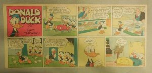 Donald Duck Sunday Page by Walt Disney from 7/4/1943 Third Page Size 